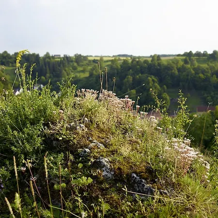 Отель Stempferhof 4*