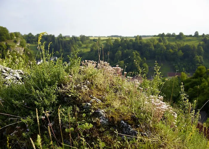 מלון Stempferhof 4*